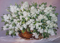 Белая сирень