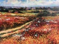Дорога среди маков