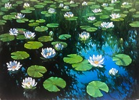 Кувшинки