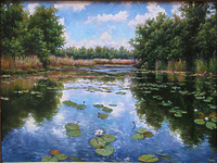 Кувшинки