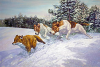 Погоня